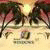 آواتار wwkyamokawa