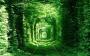 آواتار sarve.azad