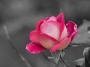 آواتار ARYAN67