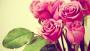 عكس shahrokh2015